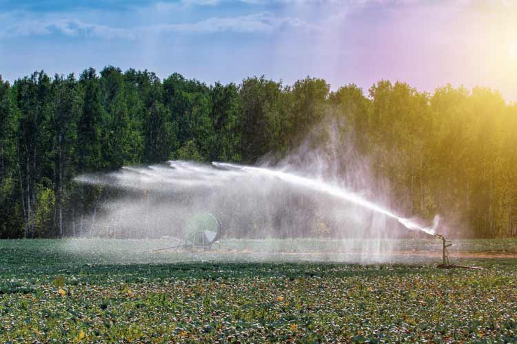 Équipement hydrauliques et métrologie des forages agricoles pour l'irrigation, l'élevage